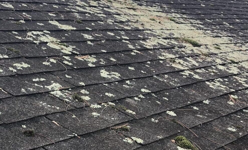 roof cleaning near me