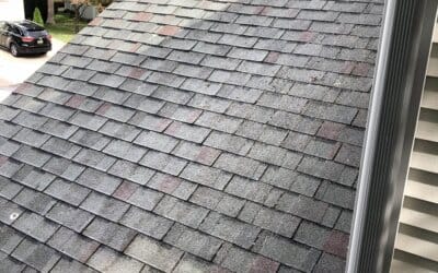 Expert Roof Cleaning in Medford, NJ
