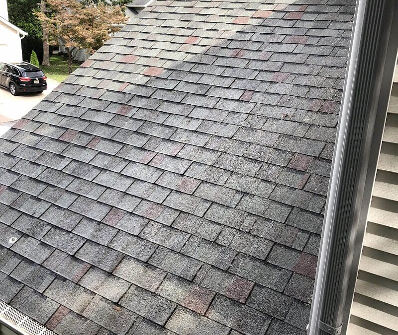 Expert Roof Cleaning in Medford, NJ
