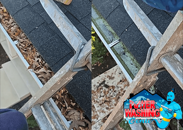 Gutter Cleaning