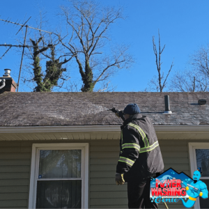 Roof Cleaning Near Me - Power Washing Genie