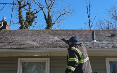 Expert Roof Cleaning in Delran, NJ