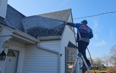 Expert Roof Cleaning in Mullica Hill, NJ