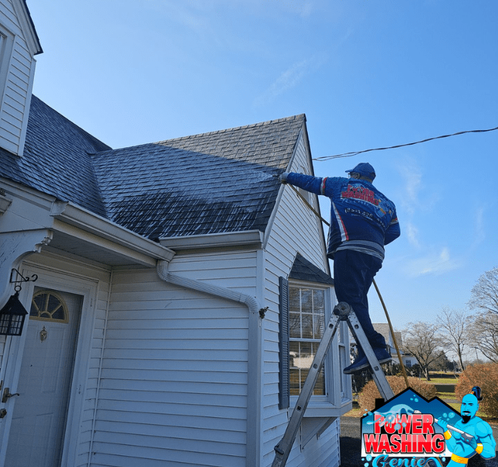 Expert Roof Cleaning in Mullica Hill, NJ