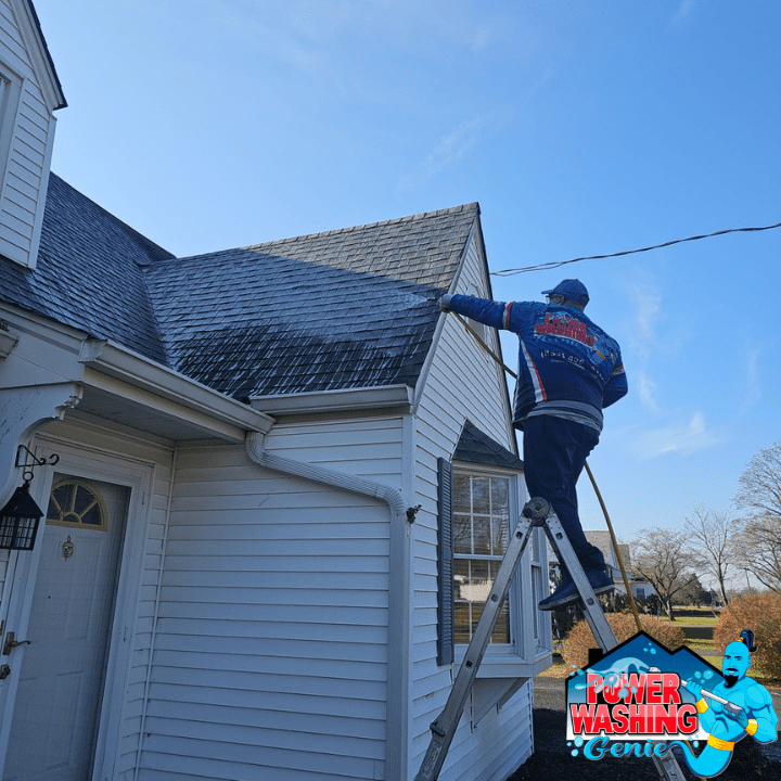 Roof Washing – How You Can Add More Life To Your Roof and Save Money