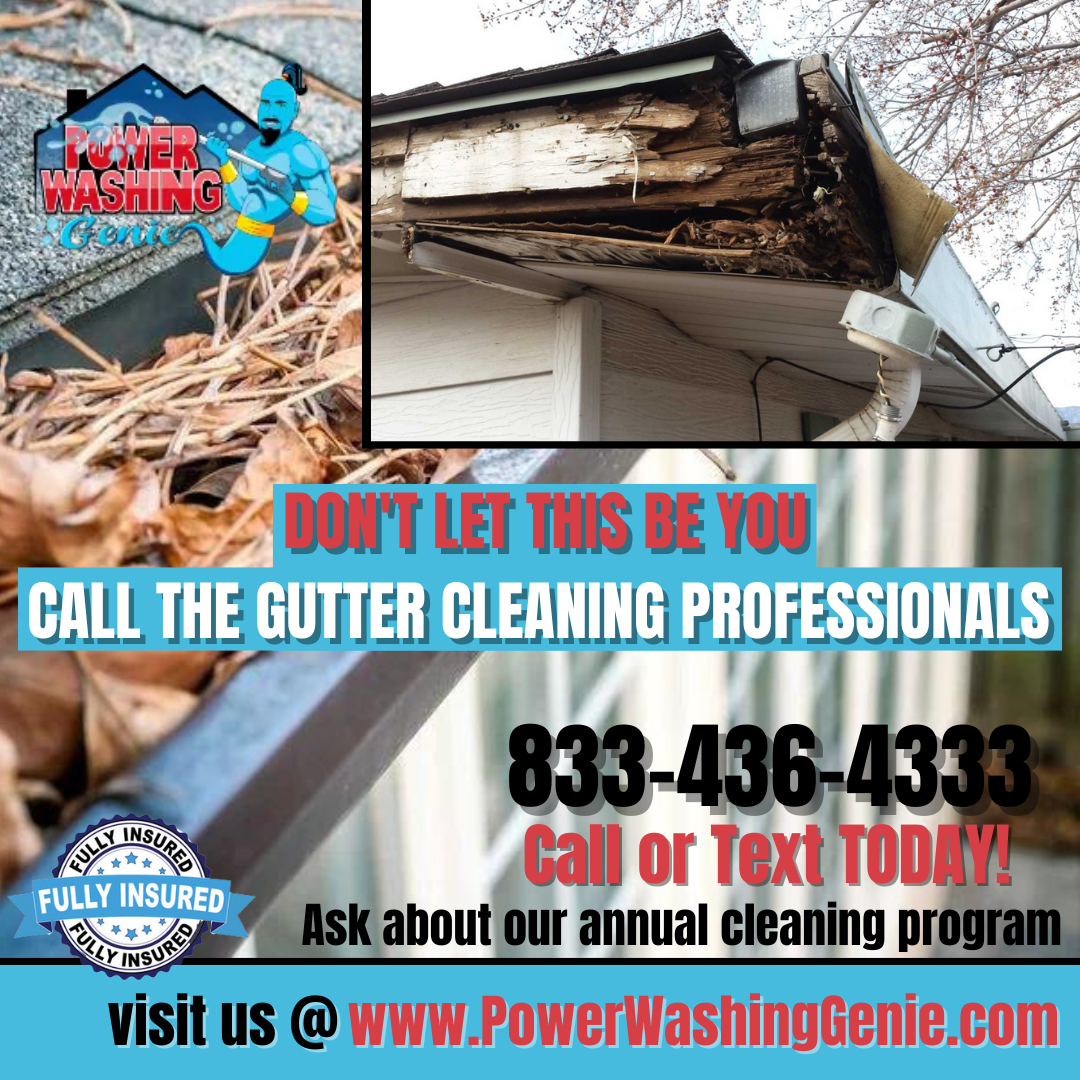 Gutter Cleaning Near Me