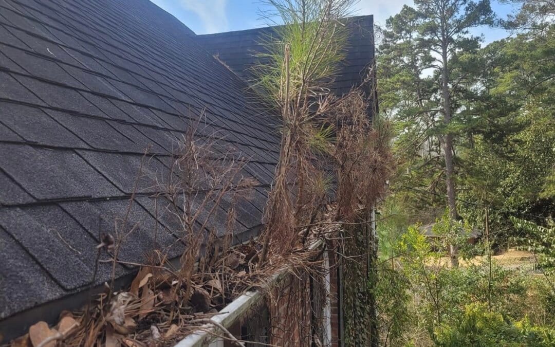 Why Gutter Cleaning Matters in Williamstown’s Fall Season