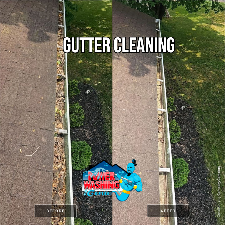 Gutter Cleaning Near Me