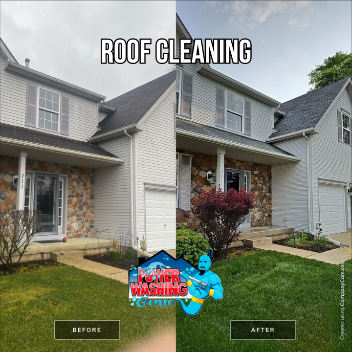 Roof Cleaning near me