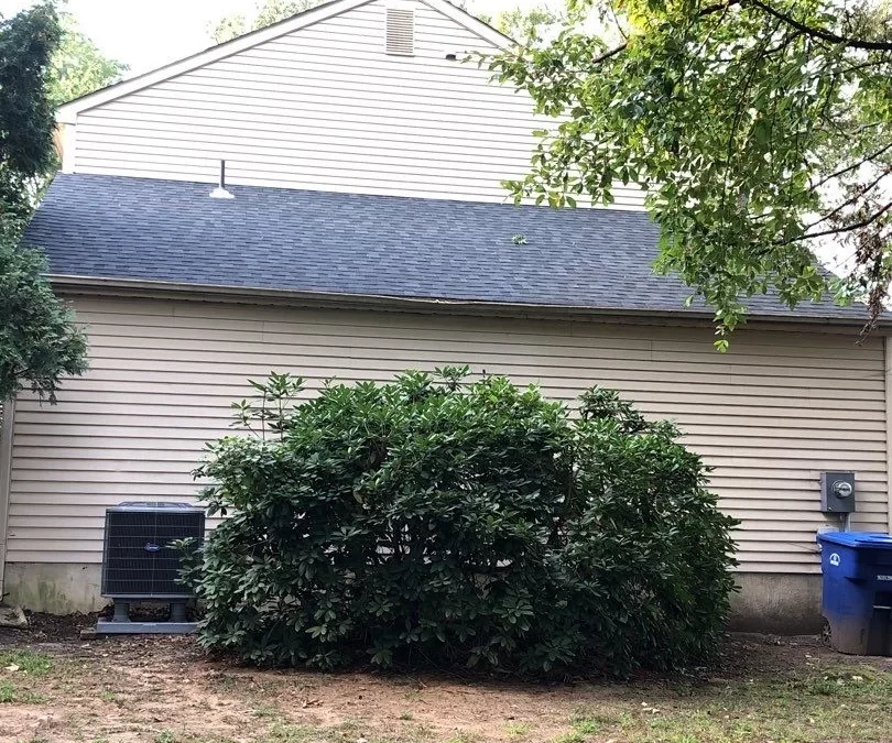 How Often Should You Clean Your Roof?