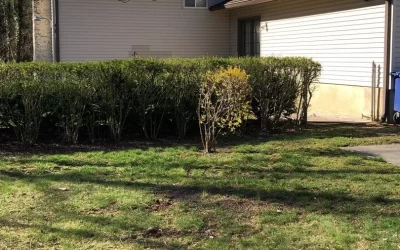 Expert Roof Cleaning in Westampton, NJ