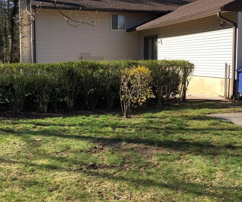 Expert Roof Cleaning in Westampton, NJ