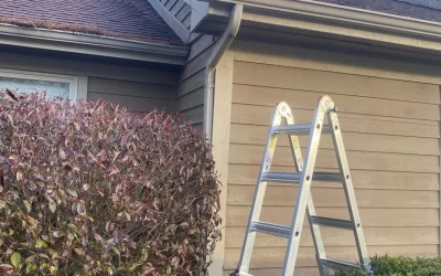 Expert Roof Cleaning in Evesham, NJ