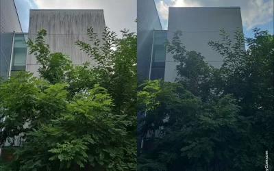 Expert Power Washing in Cinnaminson, NJ