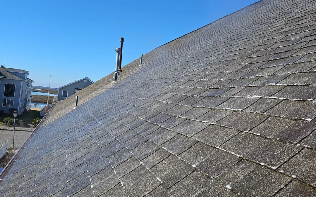 Is It Worth Having Your Roof Cleaned?